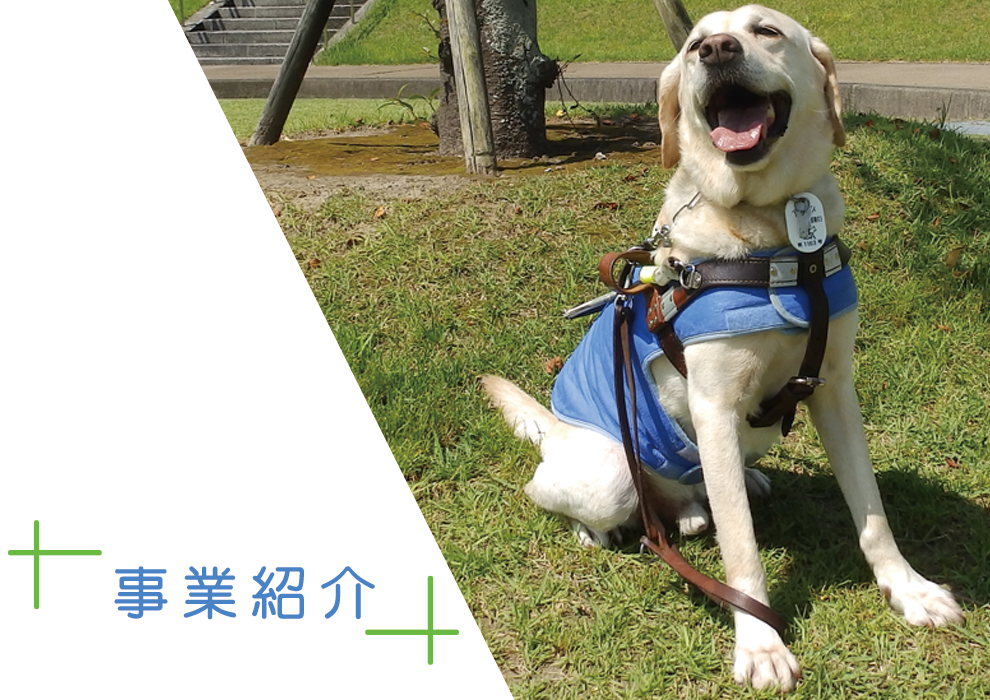 宮崎市視覚障害者福祉会メインイメージ